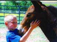 Montana Mules & Kids