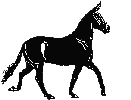 R&M Gaited Mules