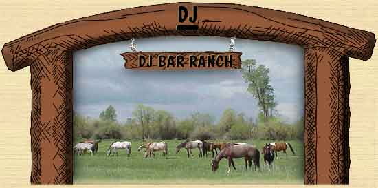 Montana Horses In Spring