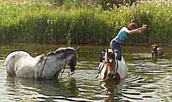 Gallatin River Fun