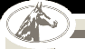 Tennessee Walking Horse Breeders