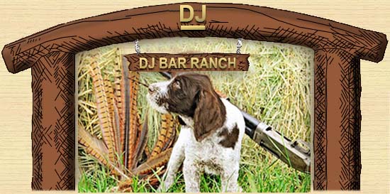 https://www.djbarranch.com/images/gwpointers/PuppyArch.jpg